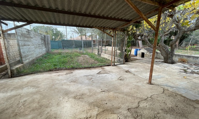 Venta - Villa -
Elche