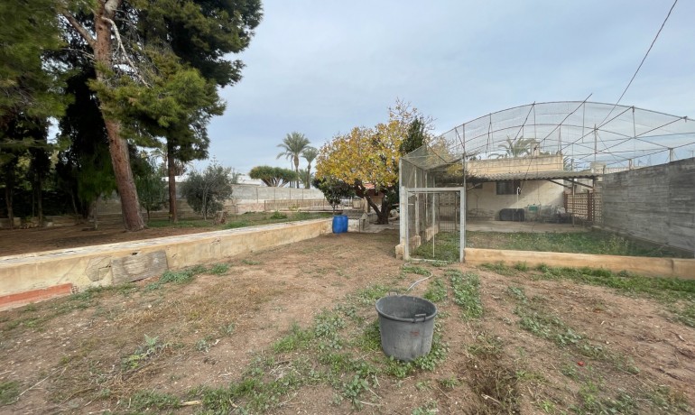 Venta - Villa -
Elche