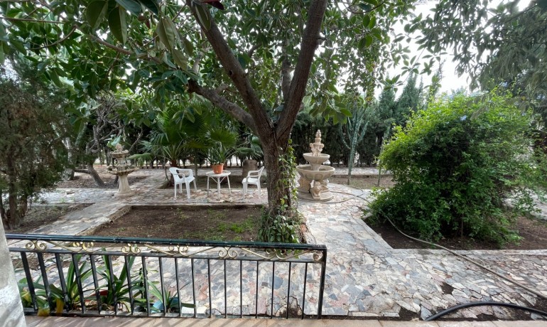 Venta - Villa -
Elche