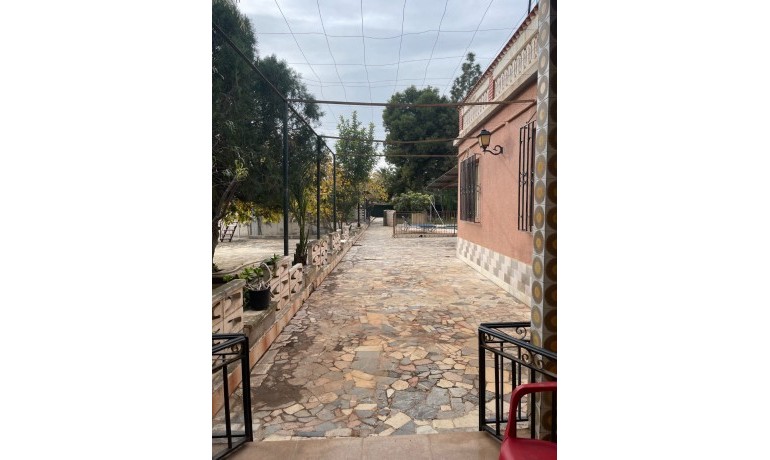 Venta - Villa -
Elche