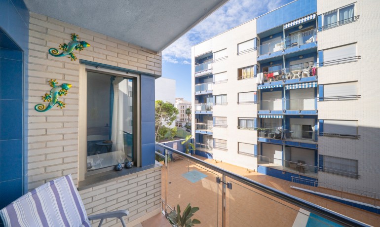 Revente - Appartement / Flat -
Torrevieja* - Torrevieja