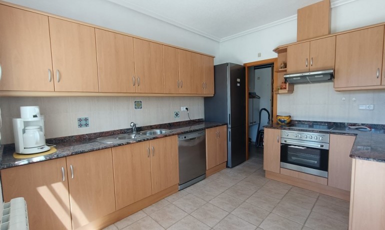 Herverkoop - Finca / Landgoed -
Albatera