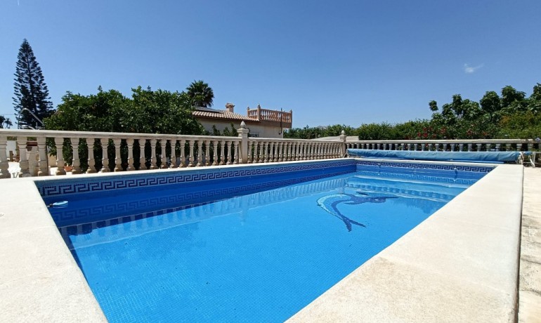 Herverkoop - Finca / Landgoed -
Albatera