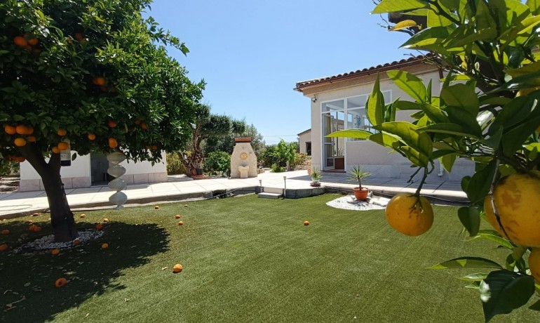 Herverkoop - Finca / Landgoed -
Albatera