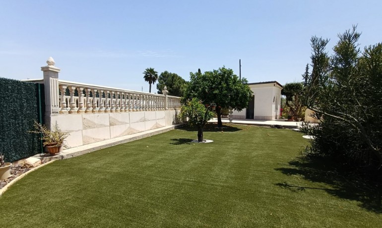 Herverkoop - Finca / Landgoed -
Albatera