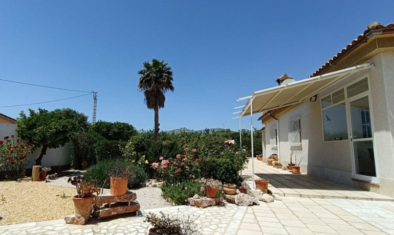 Herverkoop - Finca / Landgoed -
Albatera