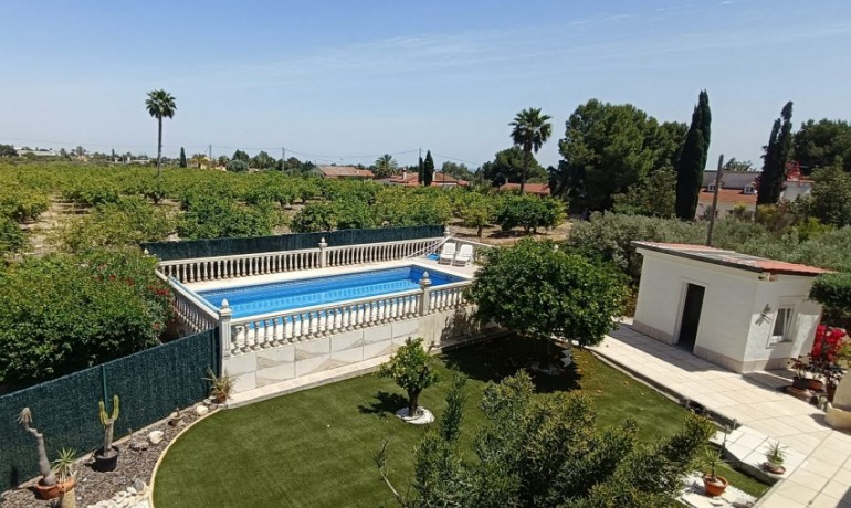 Herverkoop - Finca / Landgoed -
Albatera