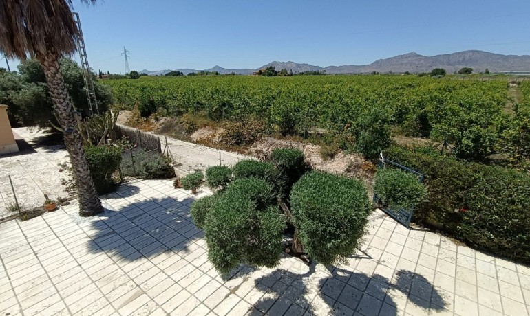 Herverkoop - Finca / Landgoed -
Albatera