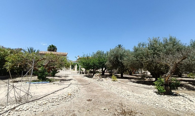 Herverkoop - Finca / Landgoed -
Albatera