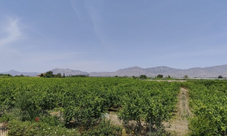 Herverkoop - Finca / Landgoed -
Albatera