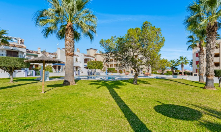 Herverkoop - Appartement / Flat -
Playa Flamenca