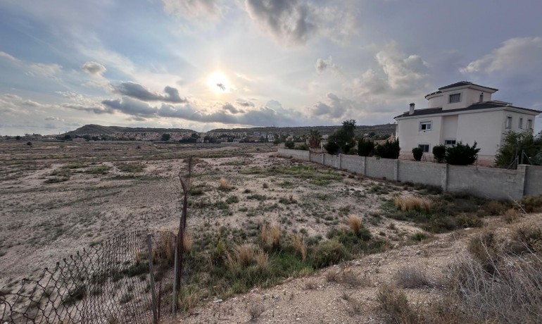 Revente - Plot -
mutxamel