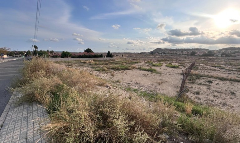 Revente - Plot -
mutxamel