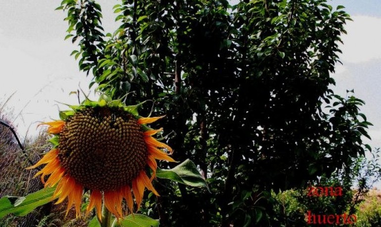 Herverkoop - Villa -
Gea Y Truyols