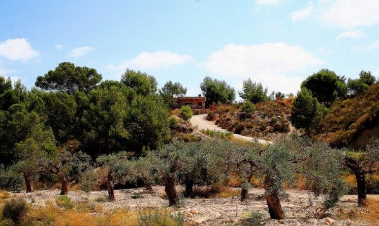 Herverkoop - Villa -
Gea Y Truyols