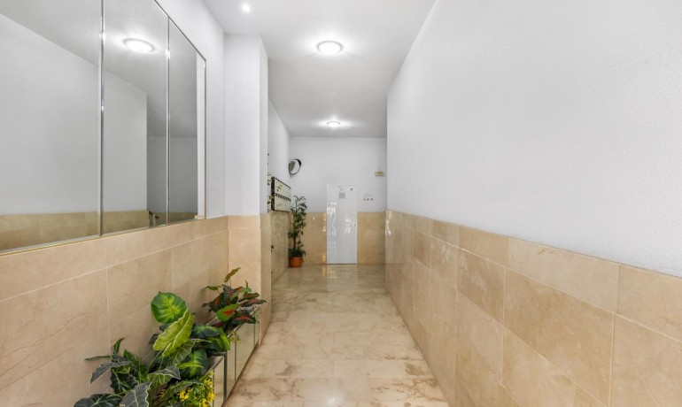 Herverkoop - Appartement / Flat -
Torrevieja* - Playa del cura