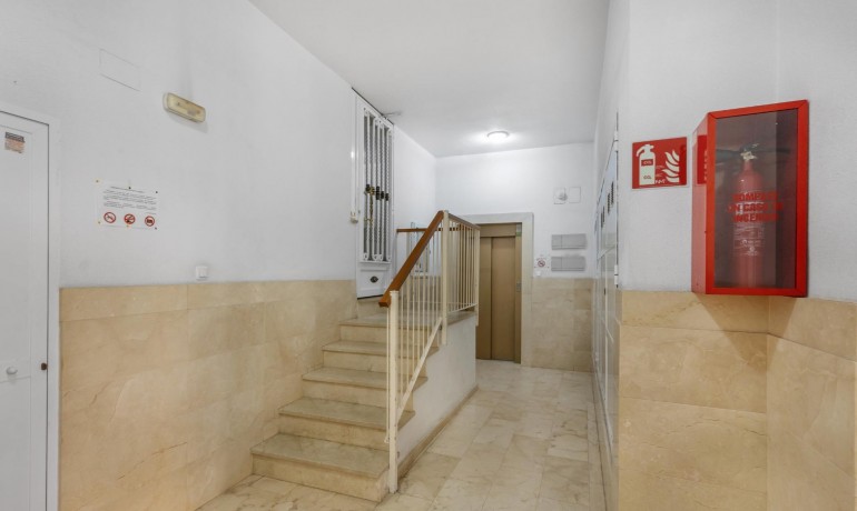 Herverkoop - Appartement / Flat -
Torrevieja* - Playa del cura