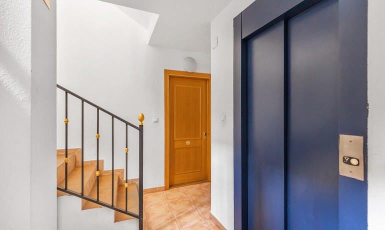 Venta - Apartamento / piso -
Torrevieja - torrevieja