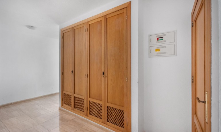 Venta - Apartamento / piso -
Torrevieja - torrevieja