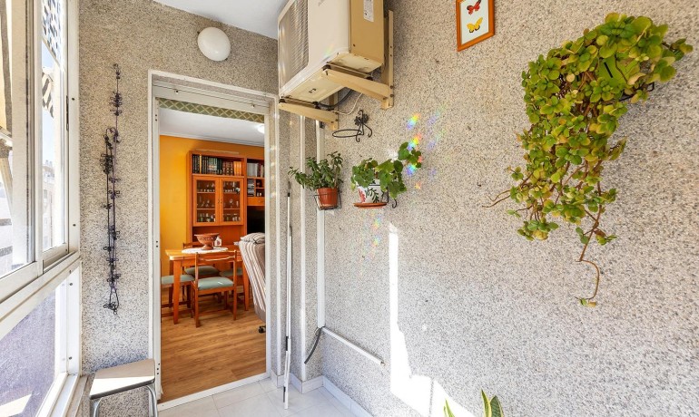 Herverkoop - Appartement / Flat -
Torrevieja* - Estacion de autobuses