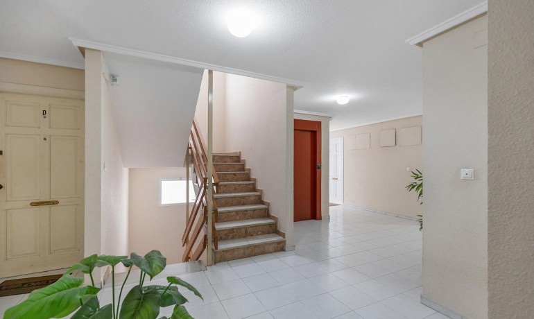 Herverkoop - Appartement / Flat -
Torrevieja* - Estacion de autobuses