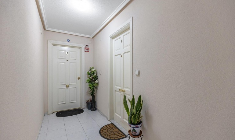 Herverkoop - Appartement / Flat -
Torrevieja* - Estacion de autobuses