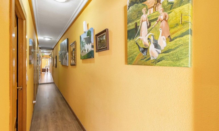 Herverkoop - Appartement / Flat -
Torrevieja* - Estacion de autobuses