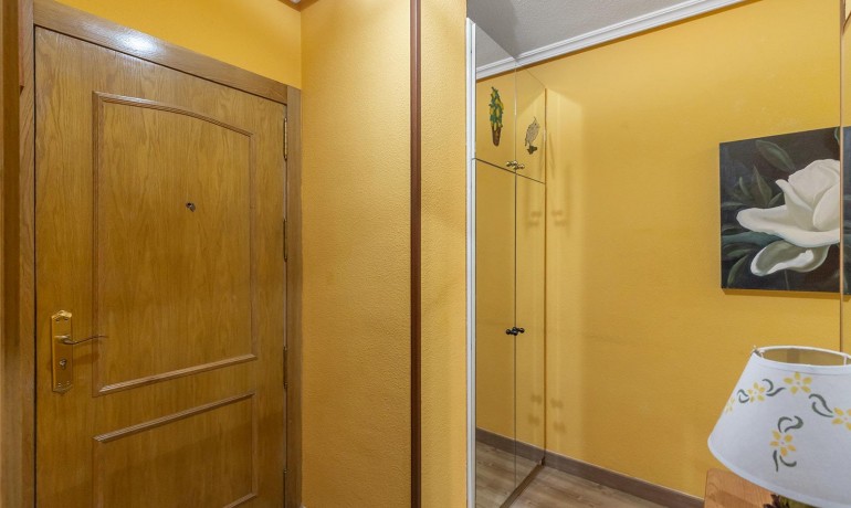 Herverkoop - Appartement / Flat -
Torrevieja* - Estacion de autobuses