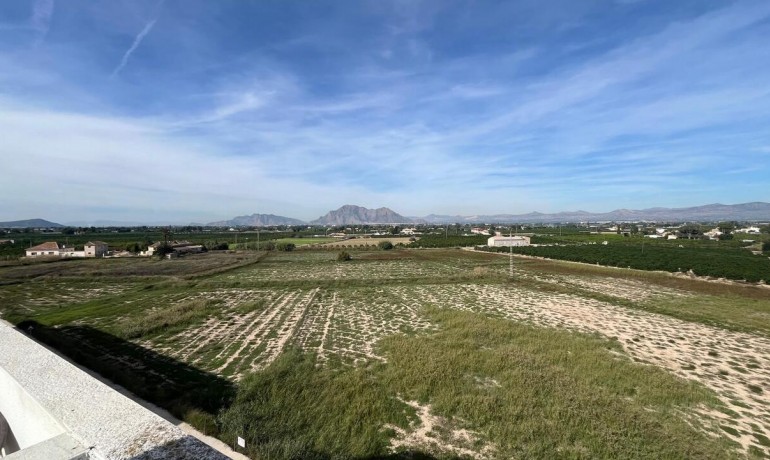 Venta - Apartamento / piso -
Almoradi