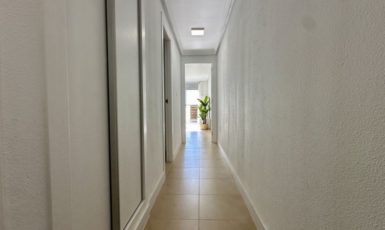 Herverkoop - Appartement / Flat -
Torrevieja*