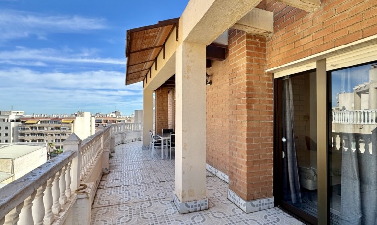 Herverkoop - Appartement / Flat -
Torrevieja*