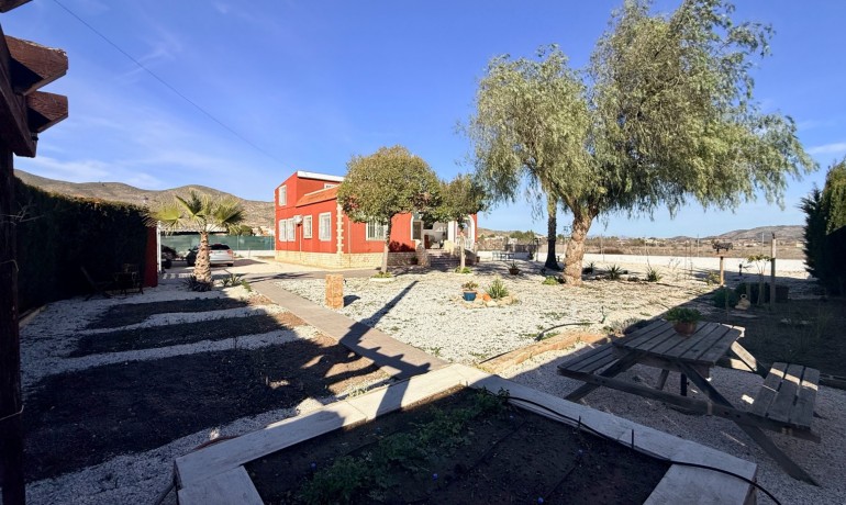 Herverkoop - Villa -
Hondon de los frailes - Hondon de los Frailes*