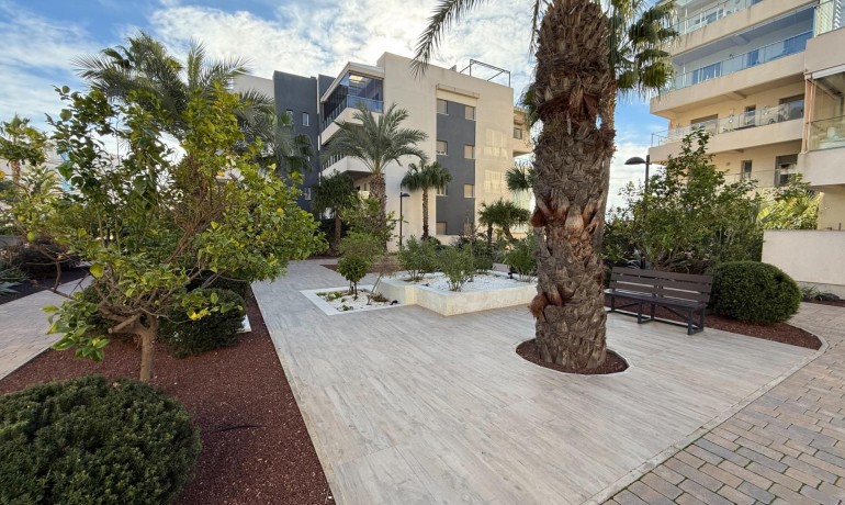 Herverkoop - Appartement / Flat -
Orihuela Costa* - Los Dolses