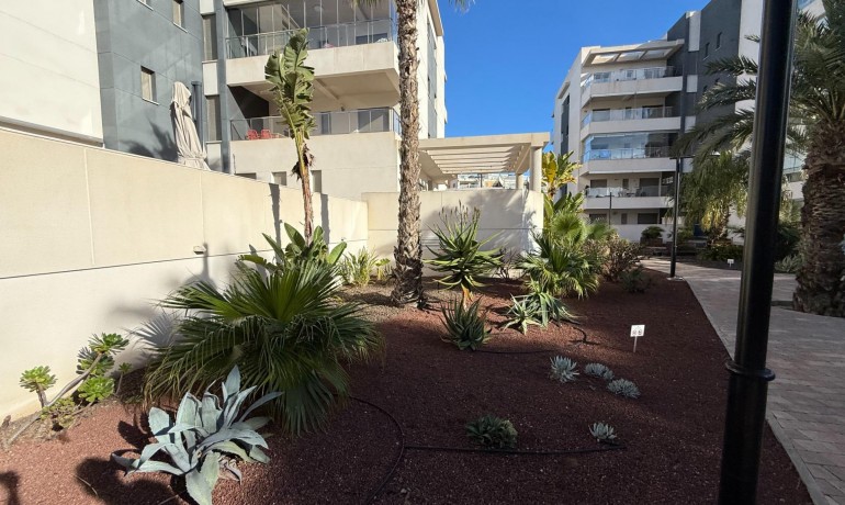 Herverkoop - Appartement / Flat -
Orihuela Costa* - Los Dolses
