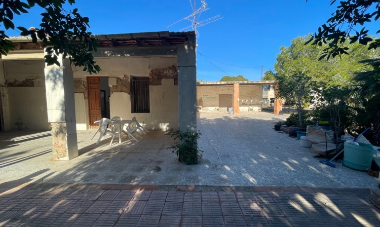 Sale - Finca Country Property -
Elche* - Elche