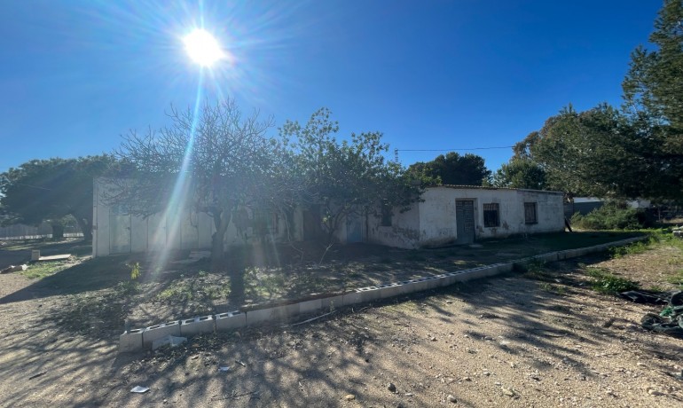 Sale - Finca Country Property -
Elche* - Elche