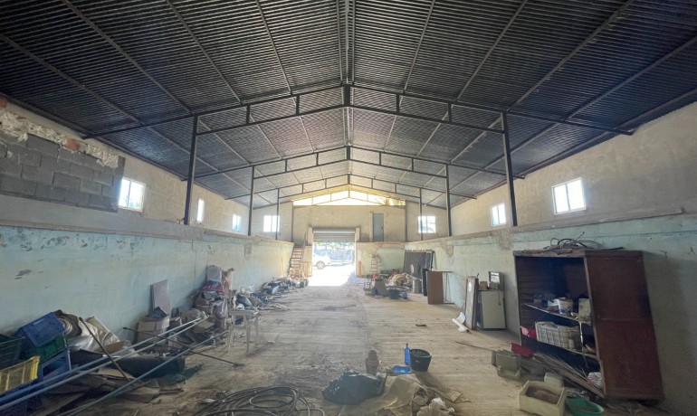 Sale - Finca Country Property -
Elche* - Elche