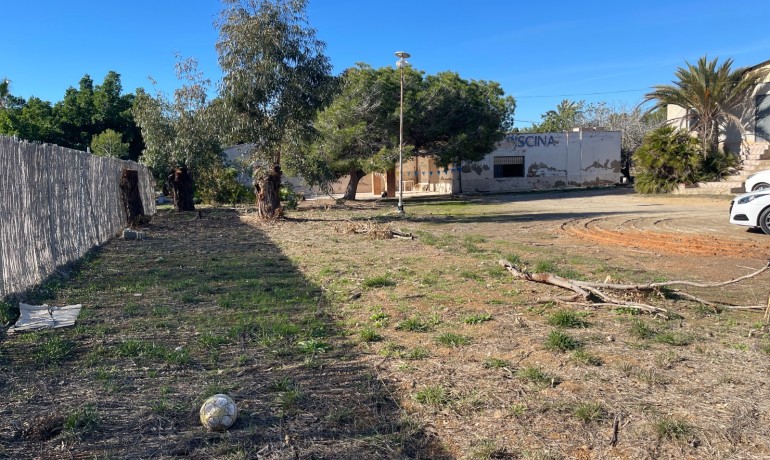 Sale - Finca Country Property -
Elche* - Elche