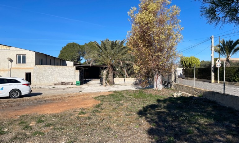 Sale - Finca Country Property -
Elche* - Elche
