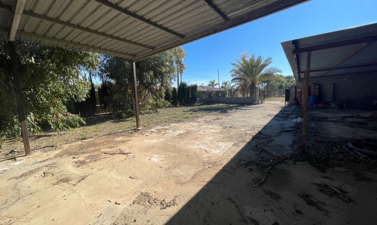 Sale - Finca Country Property -
Elche* - Elche