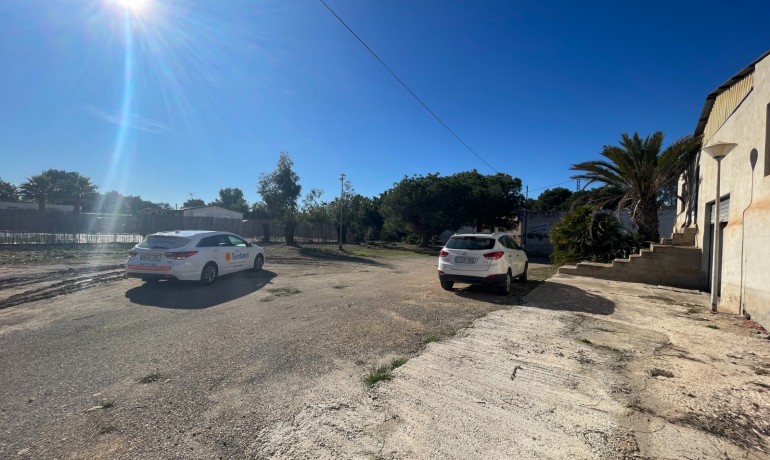 Sale - Finca Country Property -
Elche* - Elche