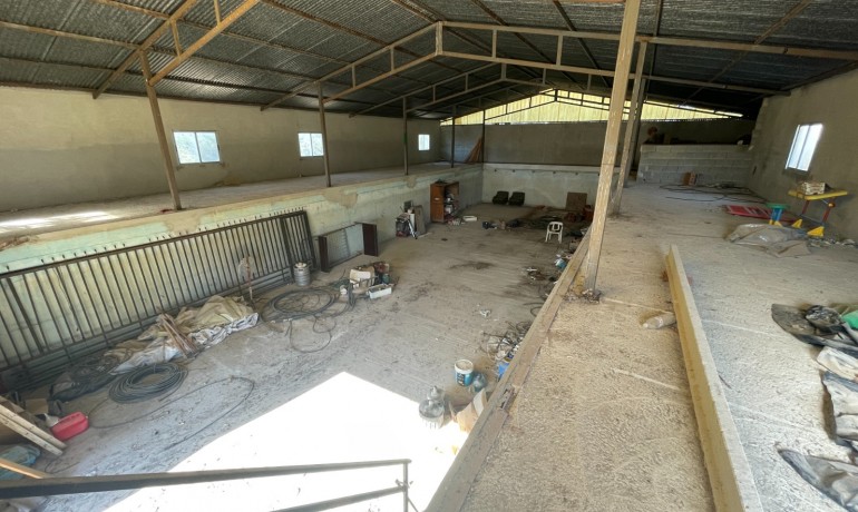 Sale - Finca Country Property -
Elche* - Elche