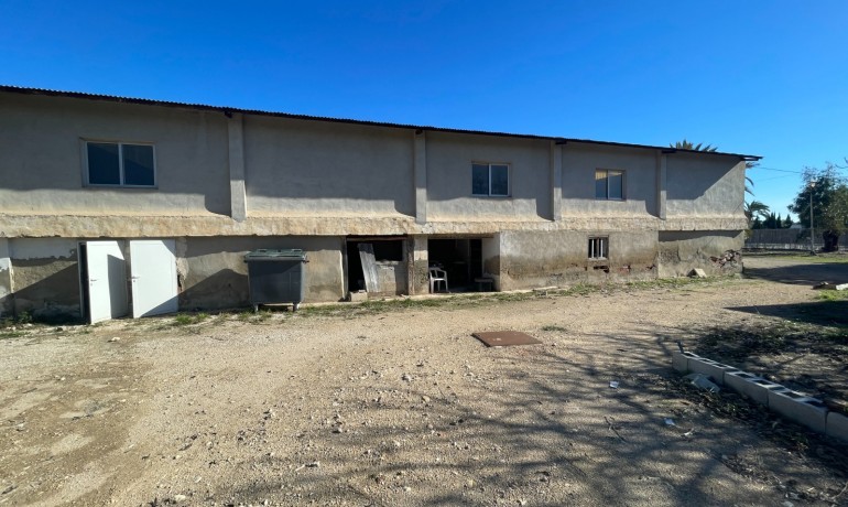 Sale - Finca Country Property -
Elche* - Elche