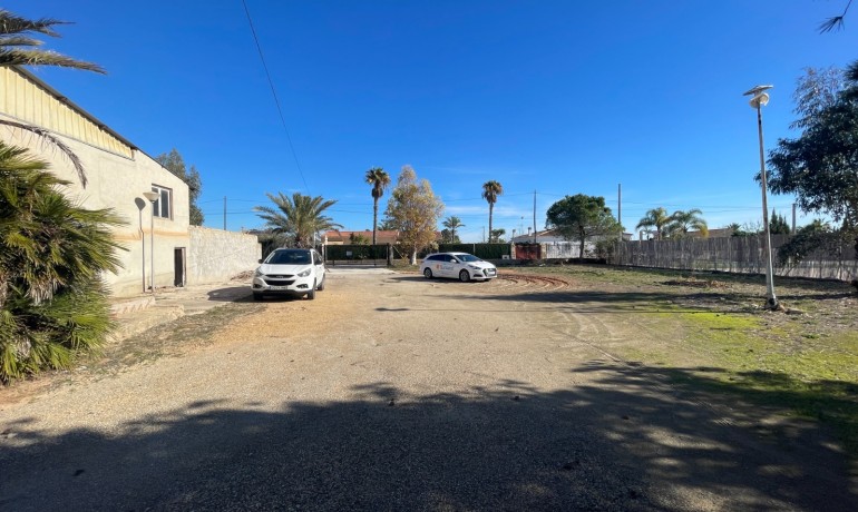 Sale - Finca Country Property -
Elche* - Elche