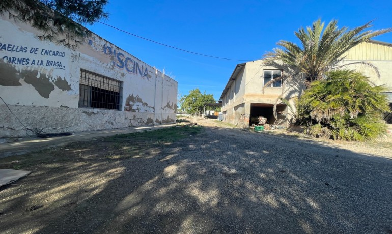 Sale - Finca Country Property -
Elche* - Elche