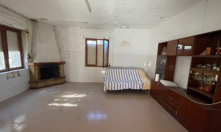 Sale - Finca Country Property -
Elche* - Elche