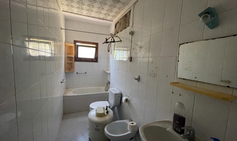 Sale - Finca Country Property -
Elche* - Elche