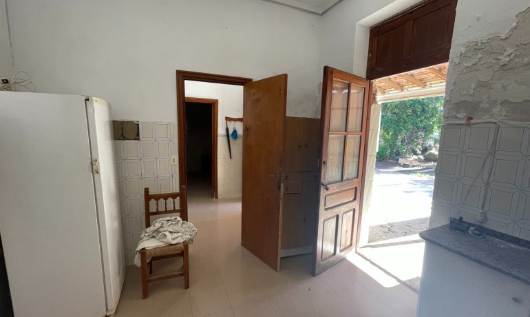 Sale - Finca Country Property -
Elche* - Elche