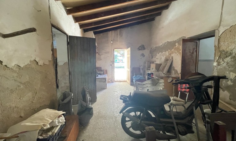 Sale - Finca Country Property -
Elche* - Elche