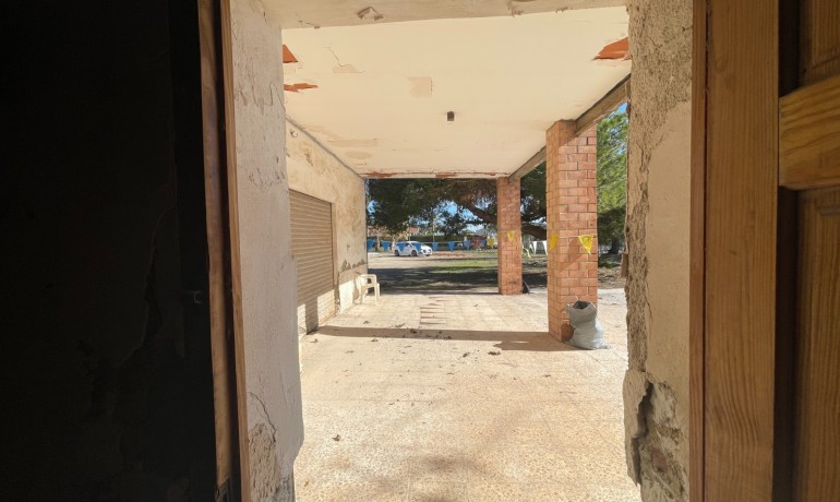 Sale - Finca Country Property -
Elche* - Elche